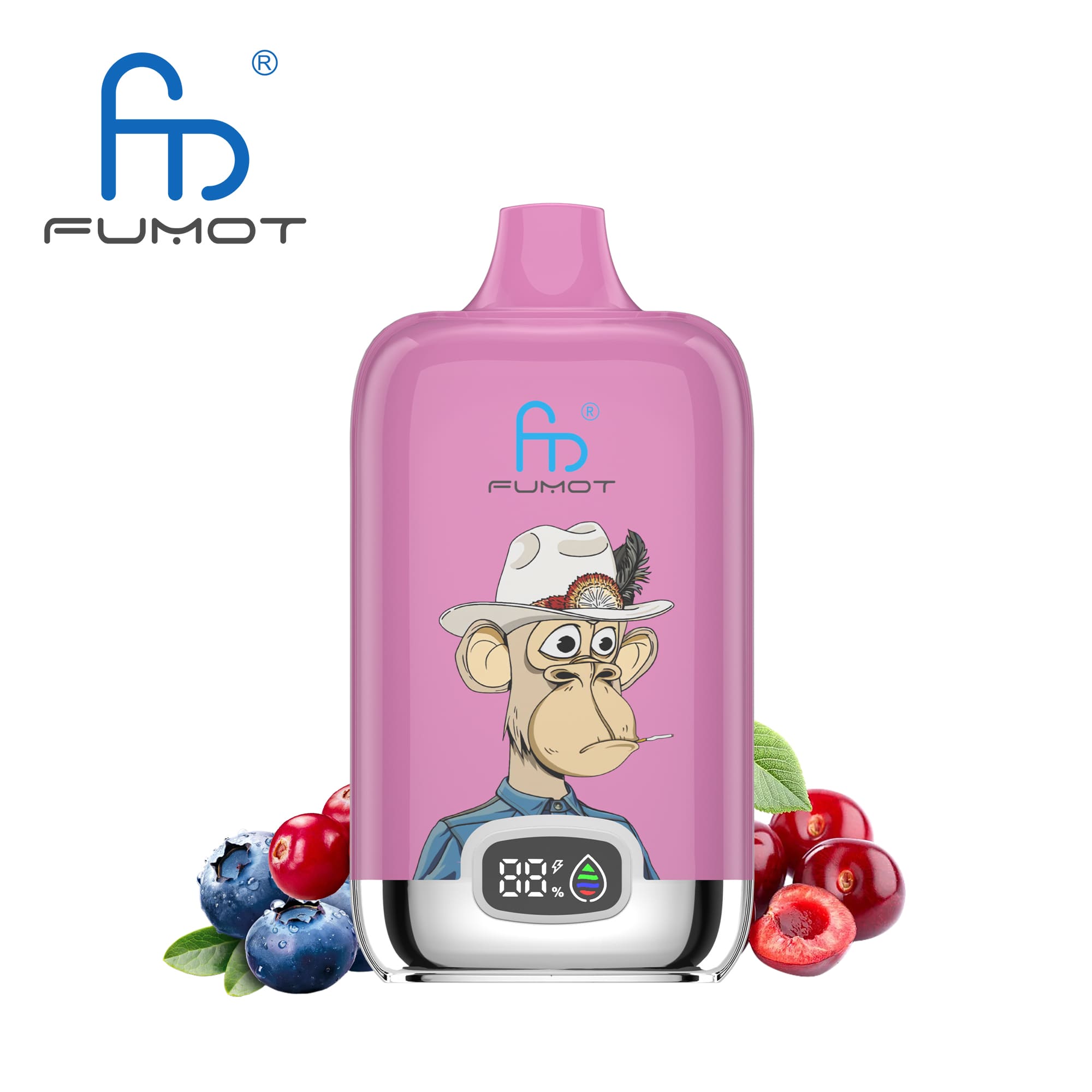 Fumot Digital Box 12000 - Billede 55